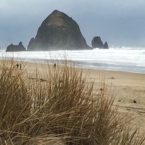 Meet your Posher, Jeanine